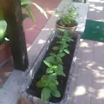 Apartmán Casetta Cassia Roma *