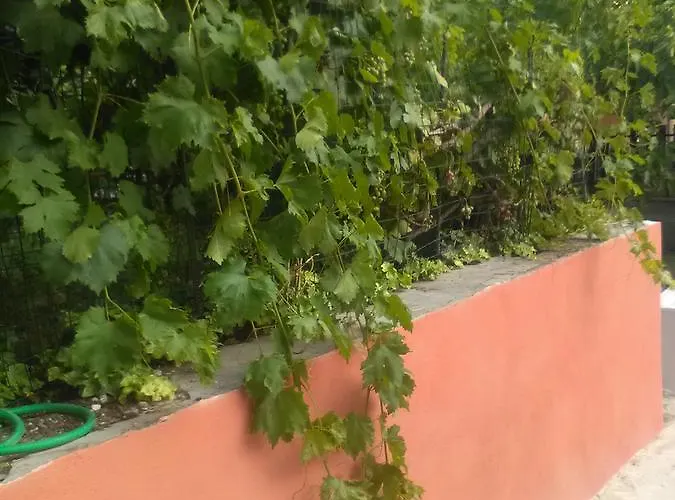 Casetta Cassia Roma * Isola Farnese